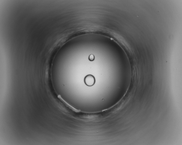 X0000114590501200910191600