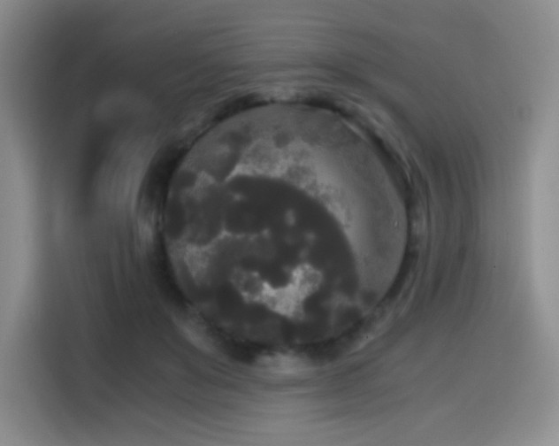 X0000114590503200910191600