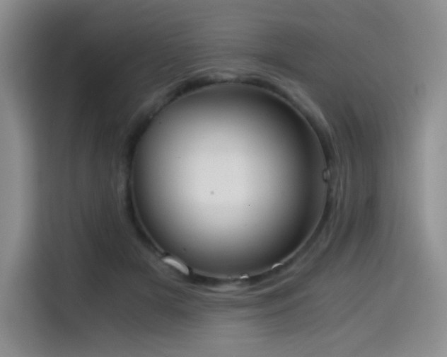 X0000114590505200910191600