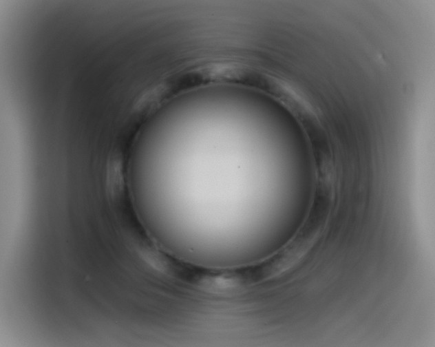 X0000114590506200910191600