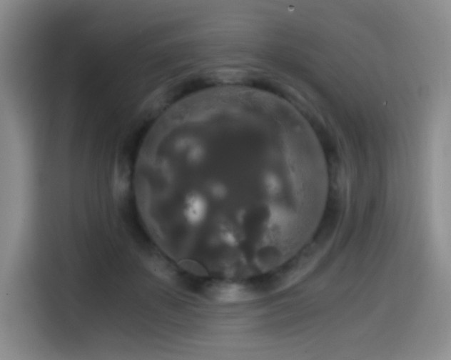 X0000114590507200910191600