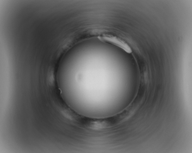 X0000114590508200910191600