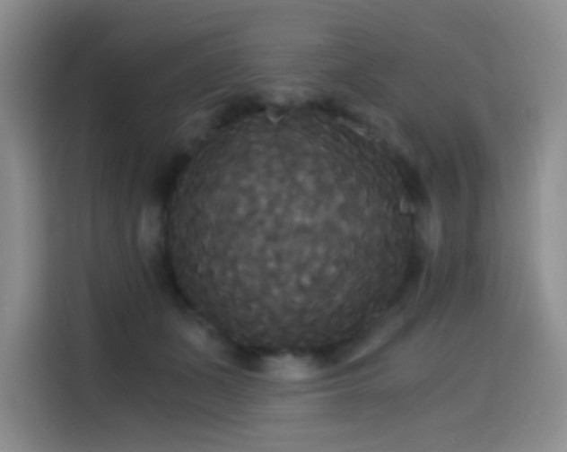 X0000114590511200910191600