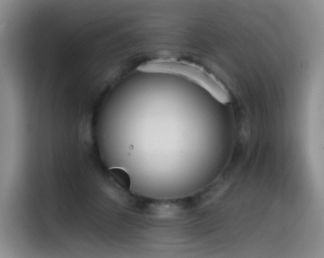 X0000114590512200910191600
