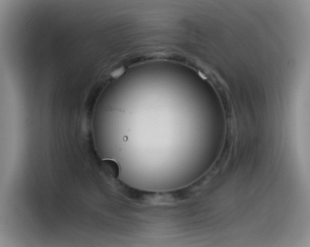 X0000114590517200910191559