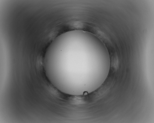 X0000114590518200910191559