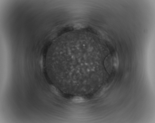 X0000114590519200910191559