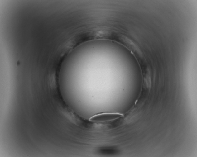 X0000114590520200910191559