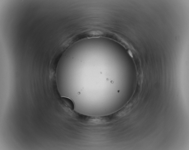X0000114590521200910191559