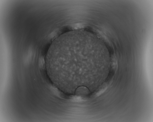X0000114590523200910191559