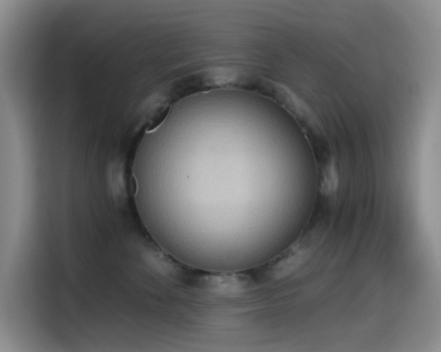 X0000114590524200910191559