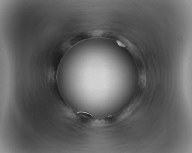 X0000114590525200910191559