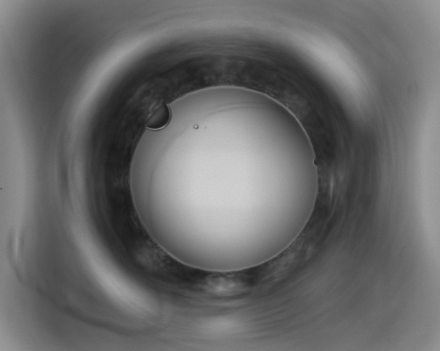 X0000114590526200910191559