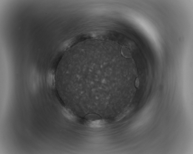 X0000114590527200910191559