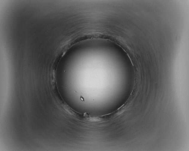 X0000114590528200910191559