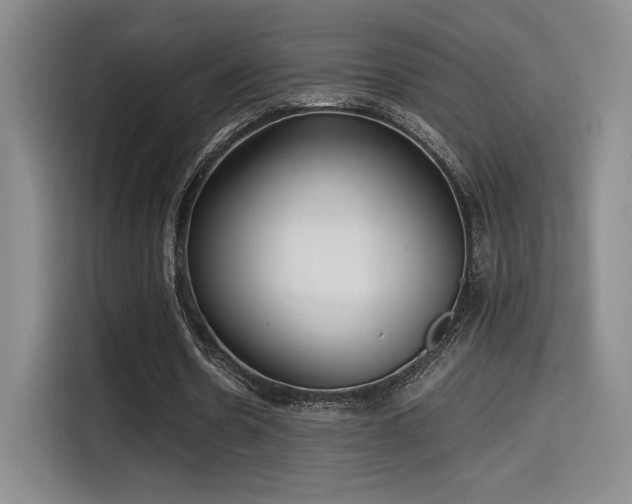 X0000114590530200910191559