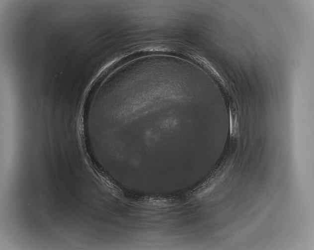 X0000114590531200910191559