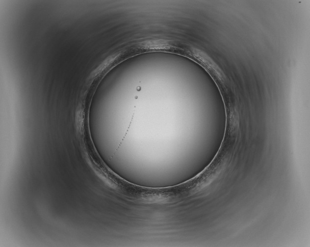 X0000114590533200910191559