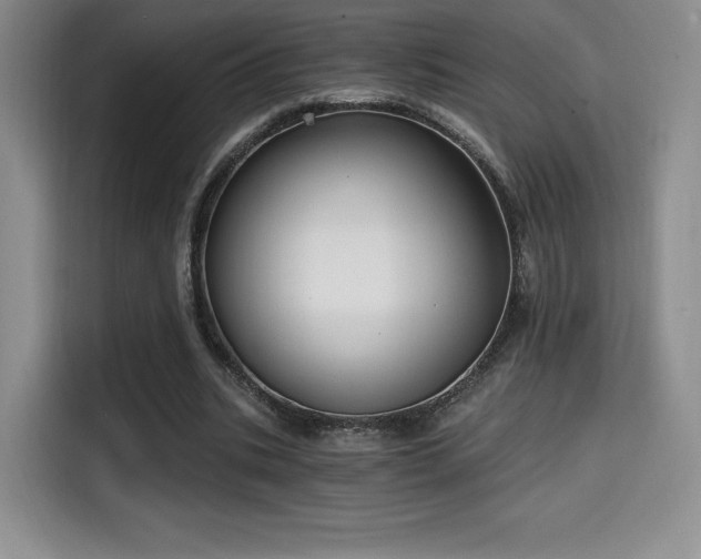 X0000114590535200910191559