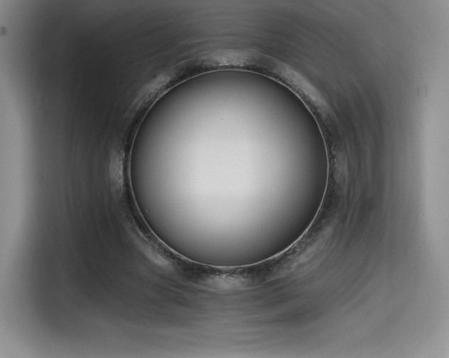X0000114590537200910191559