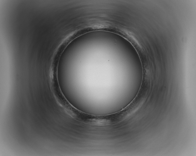 X0000114590539200910191559