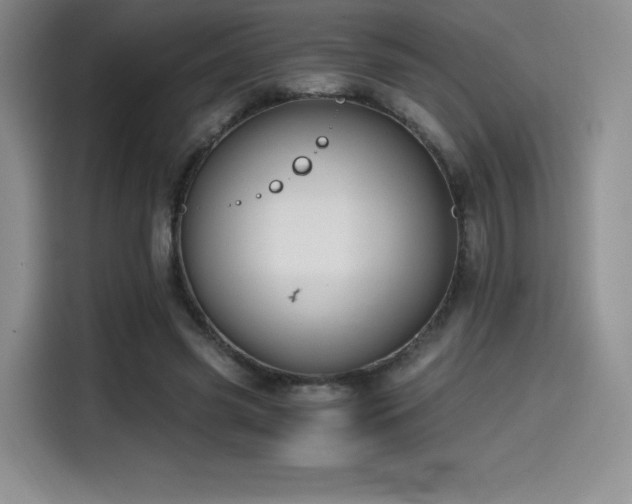 X0000114590541200910191559