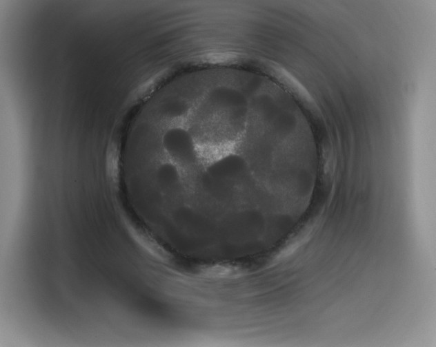 X0000114590542200910191559