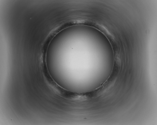 X0000114590543200910191559