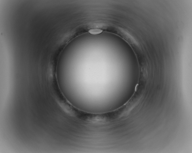 X0000114590546200910191559