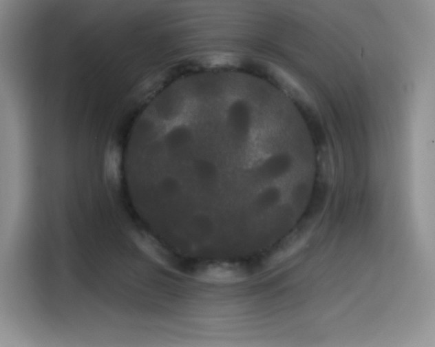 X0000114590550200910191559