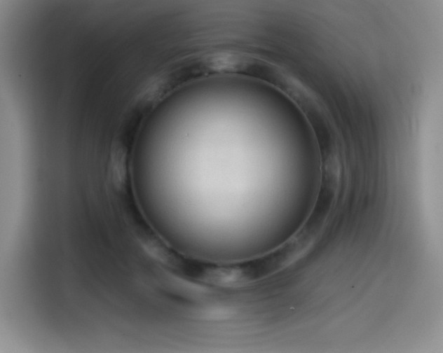 X0000114590554200910191559