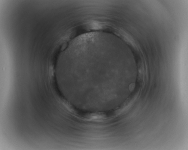 X0000114590555200910191559