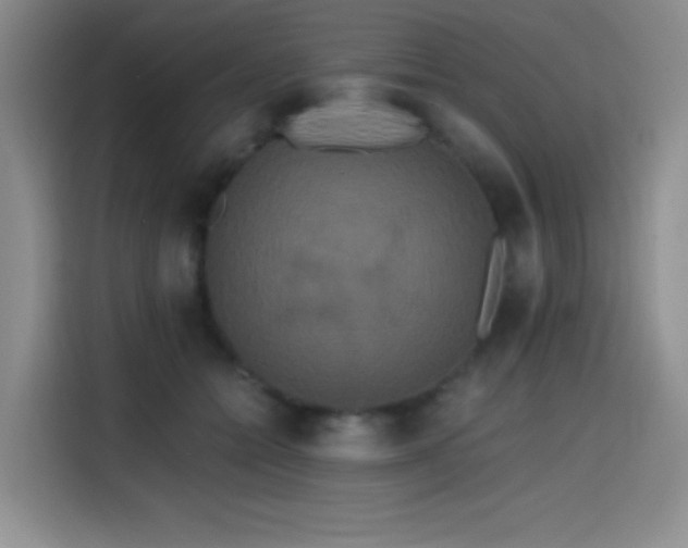 X0000114590558200910191559