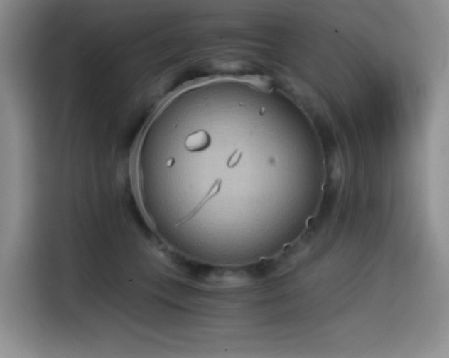 X0000114590559200910191559