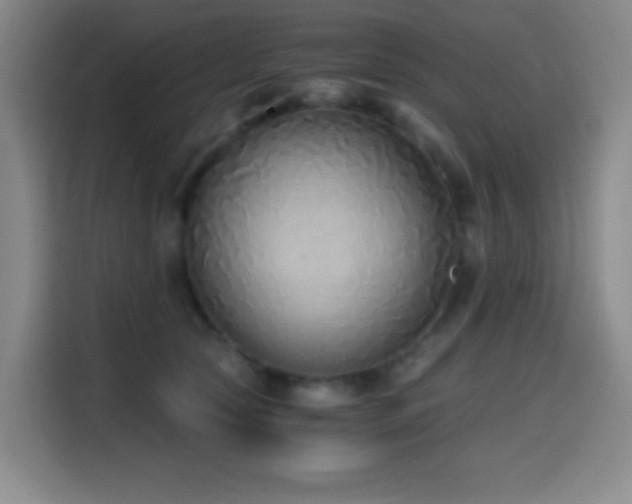 X0000114590561200910191559