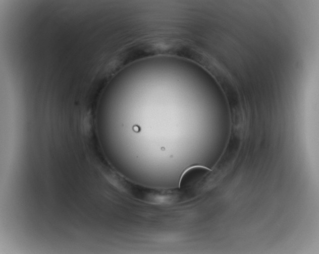 X0000114590563200910191559