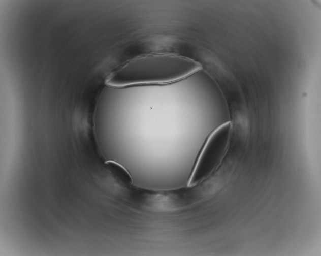 X0000114590566200910191559