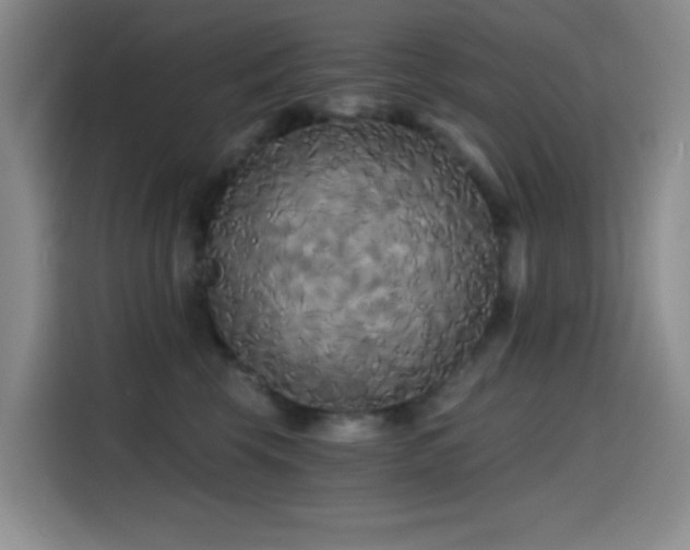 X0000114590569200910191559