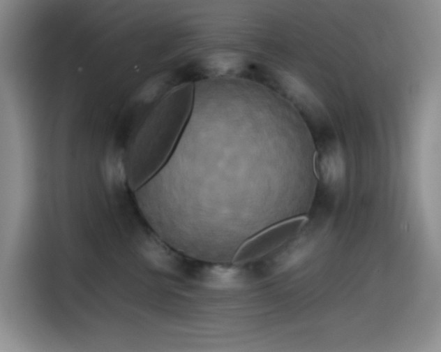 X0000114590570200910191559