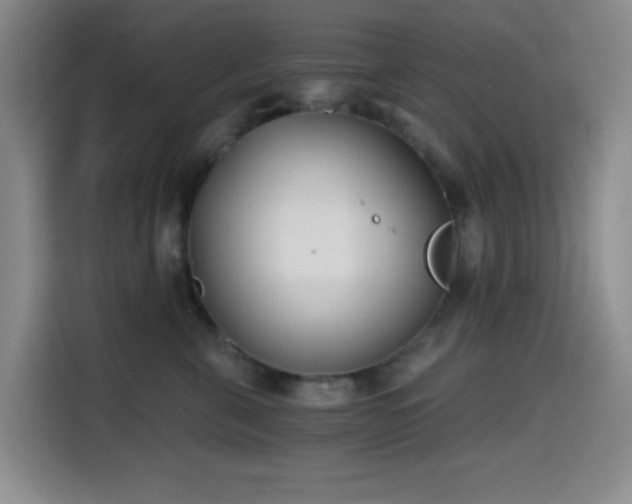 X0000114590571200910191559
