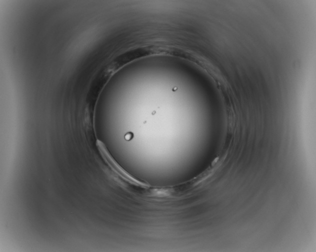 X0000114590573200910191559