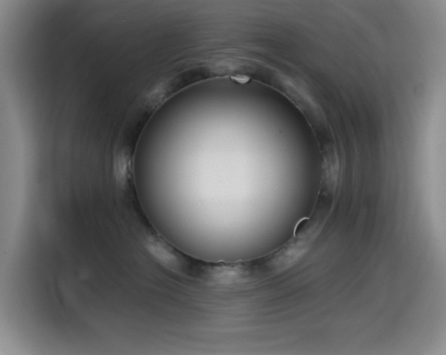 X0000114590574200910191559