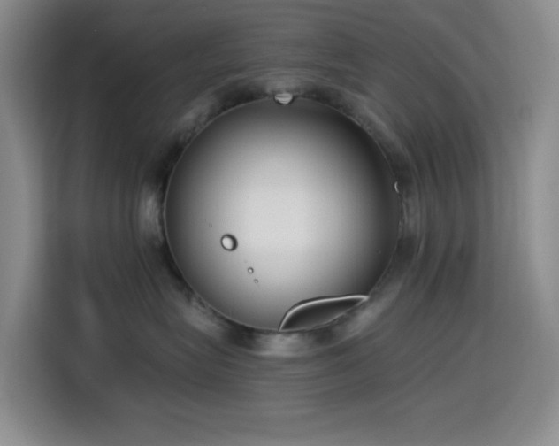 X0000114590575200910191559