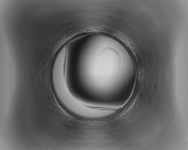 X0000114590577200910191559