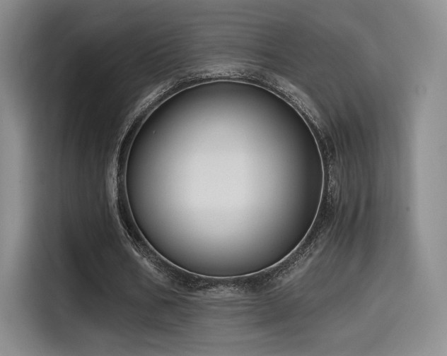 X0000114590578200910191559