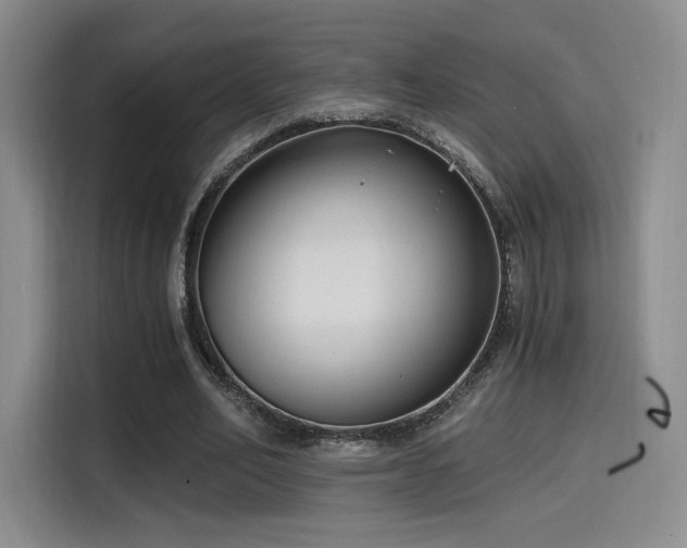 X0000114590582200910191559