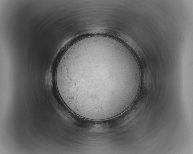 X0000114590584200910191559