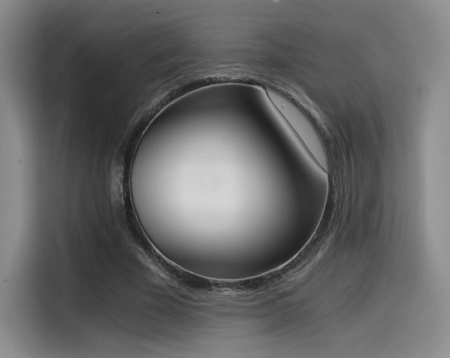 X0000114590585200910191559