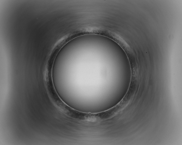 X0000114590587200910191559