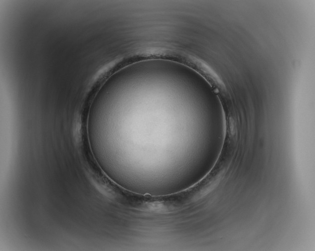 X0000114590588200910191559